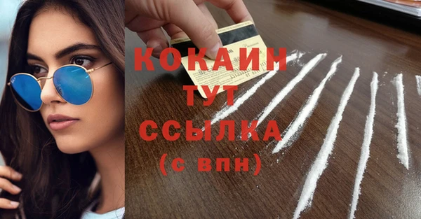 крисы Баксан