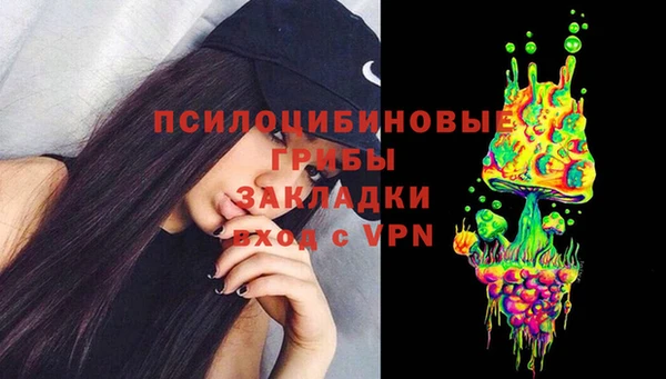 ПСИЛОЦИБИНОВЫЕ ГРИБЫ Балабаново